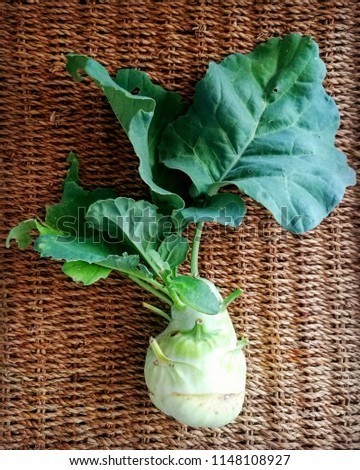 Kholrabi or Turnip Cabbage