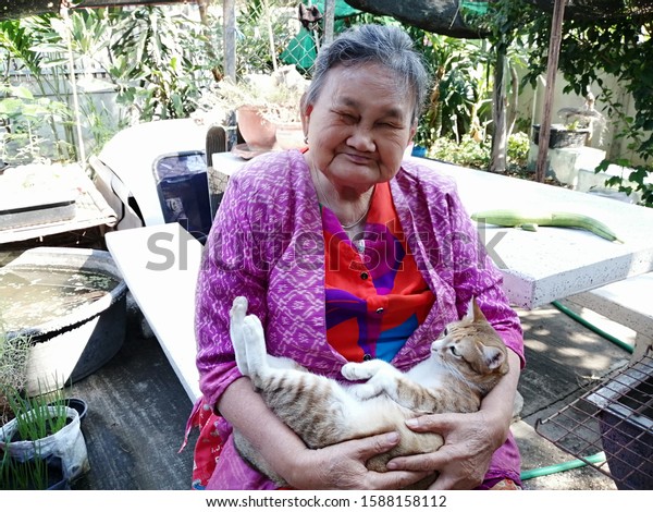 Khon Kaen, Thailand- December 11, 2019: Old Asian woman hold Thai cat in her hug with love and happiness at garden farming of Thailand.