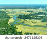 Khwai River in the Moremi Game Reserve within the Okavango Delta of Botswana