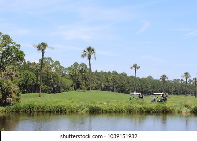 Kiawah Island Resort, Golf Course Photography, Palm Trees, Green Landscapes, Beautiful