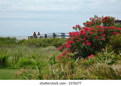 Kiawah Island Walkway Near Charleston, SC