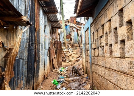 Kibera slum in Nairobi. Kibera is the biggest slum in Africa. Slums in Nairobi, Kenya