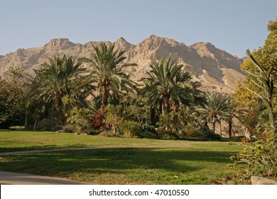 KIbutz Ein Gedi - Oasis In Negev Desert