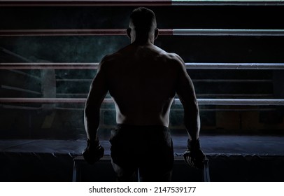 Kickboxer climbs into the ring. View from the back. Sports competitions. Fight night. The concept of mixed martial arts. MMA - Powered by Shutterstock