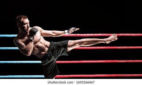 1,076 Short Mma Images, Stock Photos & Vectors 