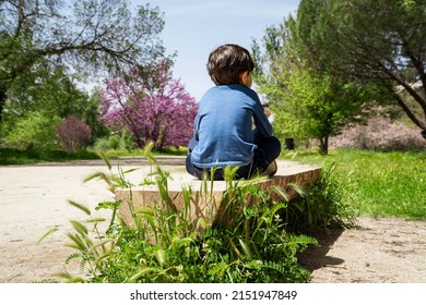 kid alone sitted by a path in the woods. lost kid concept. Youg kids can easily get lost in holidays