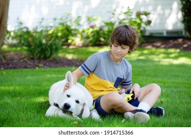 Kid Boy, Pre-teen Playing With Puppy Dog Pet Outside, Smiling And Happy, White Golden Retriever; Training On Leash