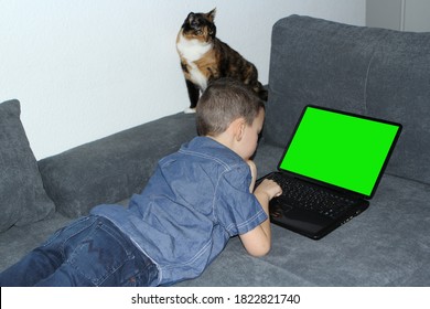 Kid, A Boy Of Primary School Age In Jeans, A Blue Shirt Lies On A Sofa In Front Of An Open Laptop With A Blank Green Screen, A Cat Sits Nearby And Looks, A Concept For Children And The Internet