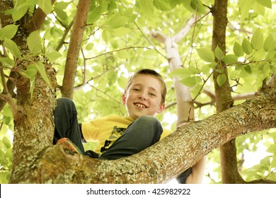 A Kid Climbing A Tree