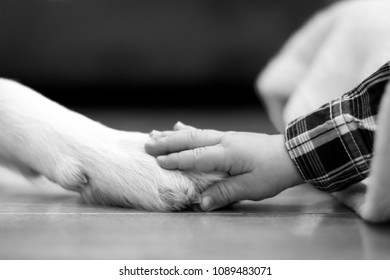 Kid And Dog Growing Up Together.