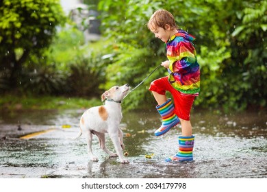 653 Dog in rain jacket Images, Stock Photos & Vectors | Shutterstock