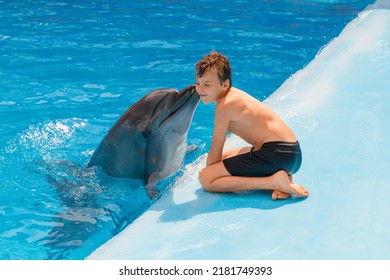 Kid And Dolphin Communication. Dolphin Assisted Therapy For Boy, Who Is Sitting And Dolphin Is Kissing Him