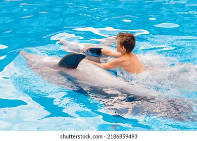 Kid And Dolphin Communication. Boy Is Swimming With Two Dolphins Who Help Have Good Neurological Condition

