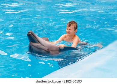 Kid And Dolphin Communication. Dolphins Assisted Therapy For Boy, Boy Is Swimming With Dolphins In Blue Swimming Poo.l 