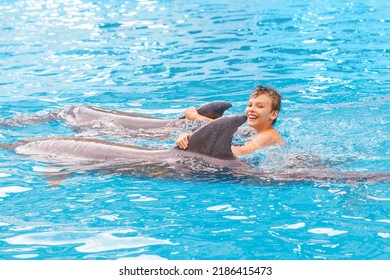 Kid And Dolphin Communication. Dolphins Assisted Therapy For Boy In Blue Swimming Pool 