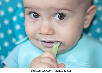 Kid Eating Yogurt Mashed Food Puree Chewing Green Silicone Baby Spoon Sitting In High Chair.food Diversification Toddler Nutrition Vitamins.dirty Mouth Beautiful Big Eyes Adorable Infant.bib In Front