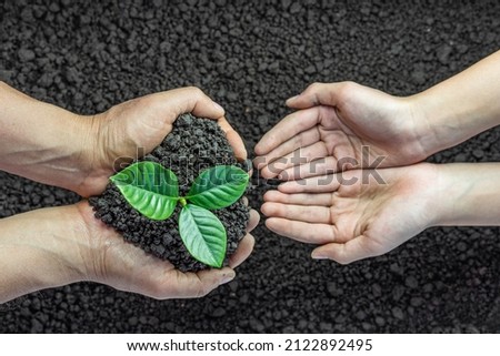 Kid and father hands planting young tree on the black soil, save world concept