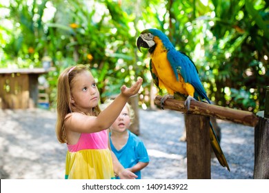 Kid feeding macaw parrot in tropical zoo. Child playing with big rainforest bird. Kids and pets. Children play and feed wild animals in safari park in sunny summer day. Little girl watching parrots. - Shutterstock ID 1409143922