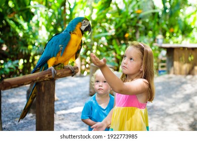Kid feeding macaw parrot in tropical zoo. Child playing with big rainforest bird. Kids and pets. Children play and feed wild animals in safari park in sunny summer day. Little girl watching parrots. - Shutterstock ID 1922773985