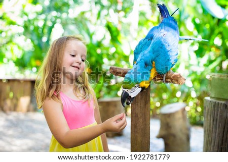 Kid feeding macaw parrot in tropical zoo. Child playing with big rainforest bird. Kids and pets. Children play and feed wild animals in safari park in sunny summer day. Little girl watching parrots.