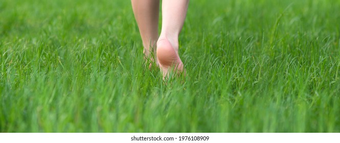 Kid Foot Walking In Green Grass On Garden. Barefoot Concept And Healthy Feet. Panorama Banner.