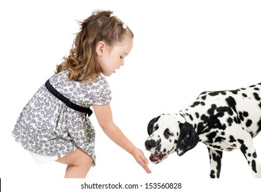 Kid Girl Feeding Dog