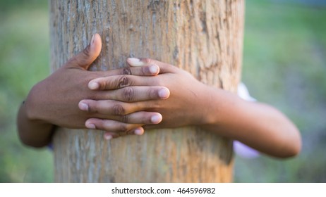 Kid Hand Hug Tree