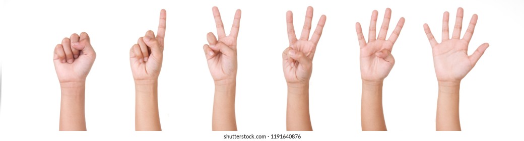 Kid Hand Isolated on White Background  : Hand Counts from Zero to Five. - Shutterstock ID 1191640876