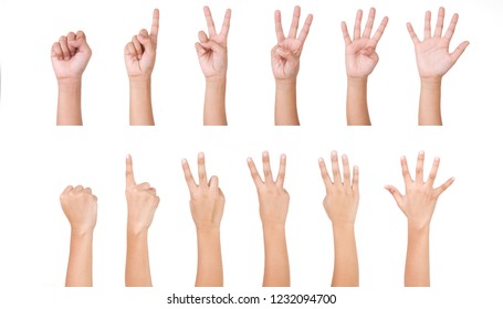 Kid Hand Isolated on White Background  : Hand Counts from Zero to Five.Man Hand Collection. - Shutterstock ID 1232094700