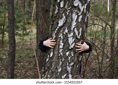 Kid Hands Embracing Birch Tree. Child Hug The Nature. Concept Of People Love Nature And Protect From Deforestation Or Pollution Or Climate Change