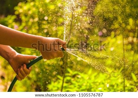 kid hands hold hose with squirting water on the summer sunny green garden background