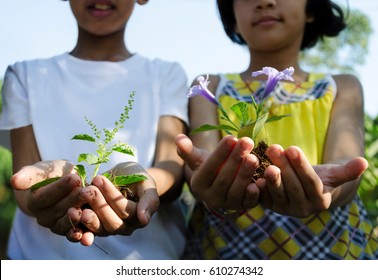 Kid Hands Holding A Young Plant. Ecology Concept