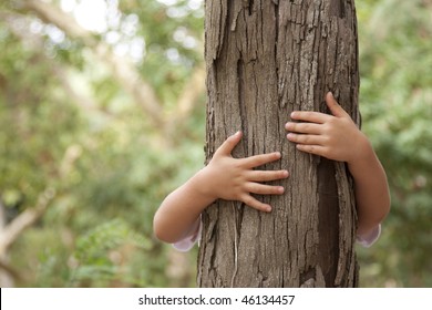 Kid Hans Embracing A Tree Trunk