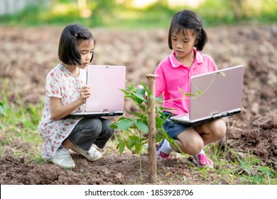 Kid Holding Laptop And Looking Vegetable Plant In Garden For Learning Outdoor Classroom, Asain Children Sitting On Ground, Cute Kids Study Outside Room And Online Data To Teacher, Child Fun For Work