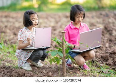 Kid Holding Laptop And Looking Vegetable Plant In Garden For Learning Outdoor Classroom, Asain Children Sitting On Ground, Cute Kids Study Outside Room And Online Data To Teacher, Child Fun For Work