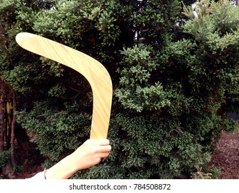 Kid Holding And Throwing A Wood Boomerang On A Park