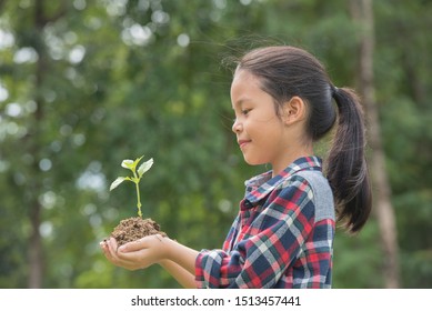 Kid Holding Young Plant In Hands Against Spring Green Background. Environment Earth Day In The Hands Of Trees Growing Seedlings. Concept Ecology