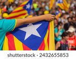 A kid holds an estelada, a catalan independist flag, during a demonstration.