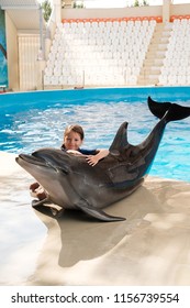 Kid Hugging With Bottlenose Dolphin. Little Girl Embracing Dolphin On Stage. Dolphin Assisted Therapy