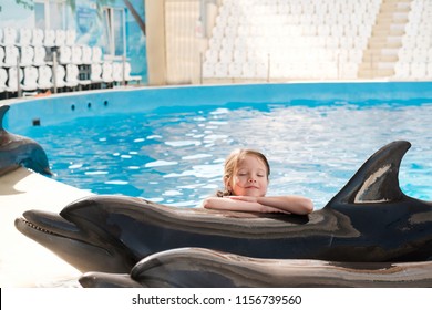 Kid Hugging With Bottlenose Dolphin. Little Girl Embracing Dolphin On Stage. Dolphin Assisted Therapy