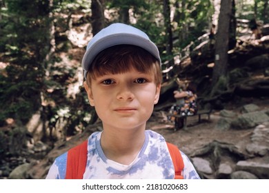 Kid Investigates Nature In Forest