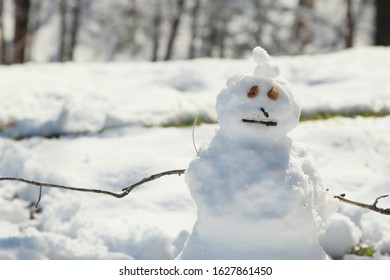 Kid Made Snowman Rocks Eyes Sticks Stock Photo 1627861450 | Shutterstock