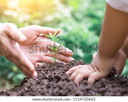 Kid and mother hands planting young tree on the black soil,save world concept