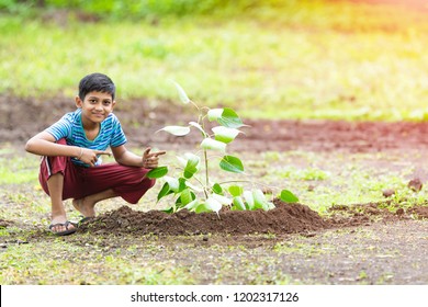 Kid Planting Tree And Showing Empty Board