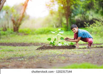 kid planting tree and showing empty board