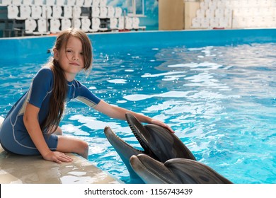 Kid Playing With Bottlenose Dolphin. Little Girl Touching Dolphin On Stage. Dolphin Assisted Therapy