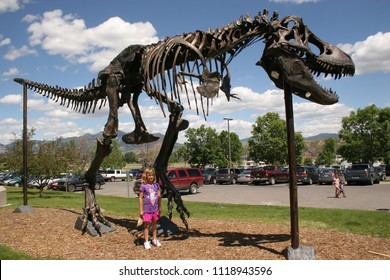 A kid poses with a Tyrannosaurus Rex mounted skeleton, Museum of the Rockies, Bozeman, Montana, USA April 20th 2010