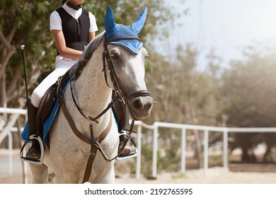 Kid Ride Horse. Horseback Riding Lesson For Young Jockey In Equestrian School Or Club.Healthy Outdoor Fun With Horses. Pet Animal On Farm