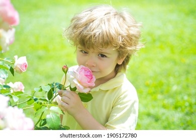 可愛い 女の子 の写真素材 画像 写真 Shutterstock