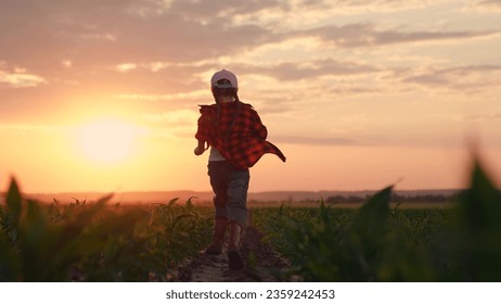 Kid runs in rubber boots on field with sprouts. Happy little girl rubber boots run on field sunset. Farmer child run in field corn sprouts. Happy carefree childhood. Growing corn, agricultural, food - Powered by Shutterstock